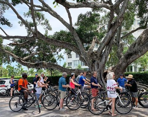 A lady riding a bicycle