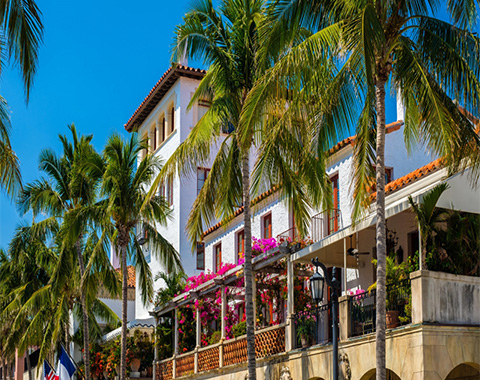 A white building hidden behind palm trees