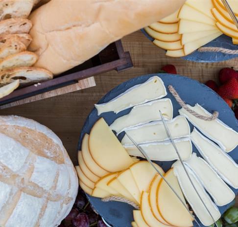 Plates of cheese, crackers, and bread